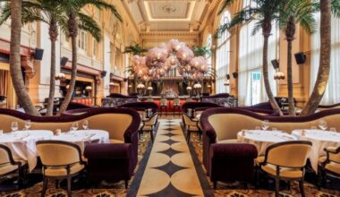 Lyon. Aux Brotteaux, Coco s’apprête déjà à prendre un billet retour -