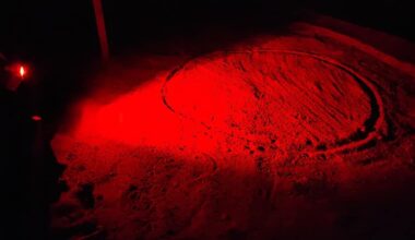 tortue caouanne Sanary-sur-Mer bébés tortues saint-cyr