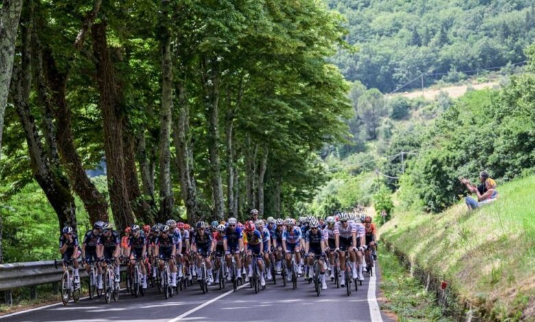 Tour de France 2030, la candidature de l'Allemagne au Grand Départ prend de l'ampleur
