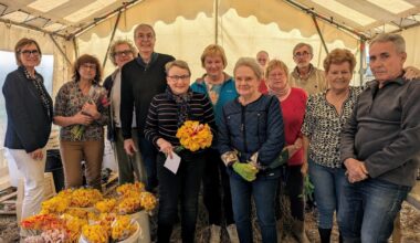 La cueillette des tulipes contre le cancer a débuté près de Rouen