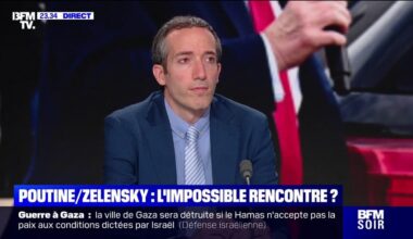 "On veut que Kiev gagne? Rentrons en guerre complètement", lance Michel Fayad, analyste géopolitique