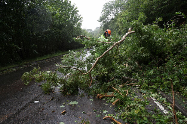 Un ouvrier retirer un arbre arraché par la tempête Floris ce lundi 4 août sur une route d'Ecosse. Reuters/Russell Cheyne