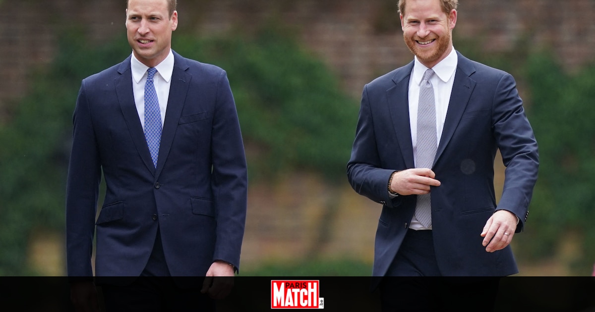 "Les choses ont changé" : le prince Harry serait sur le point de trahir une promesse faite à son frère William il y a près de dix ans