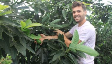 2 000 variétés de plantes, 600 disponibles en greffons : ce pépiniériste fait pousser des fruits exotiques près de Toulouse