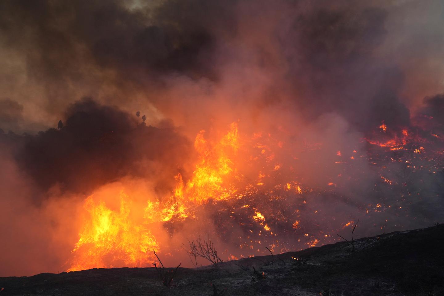 Aux Etats-Unis, un feu de végétation baptisé Canyon Fire s’étend en Californie, des milliers de personnes évacuées