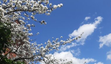 Fini, le temps maussade ? La météo de ce vendredi, à Toulouse et en Occitanie