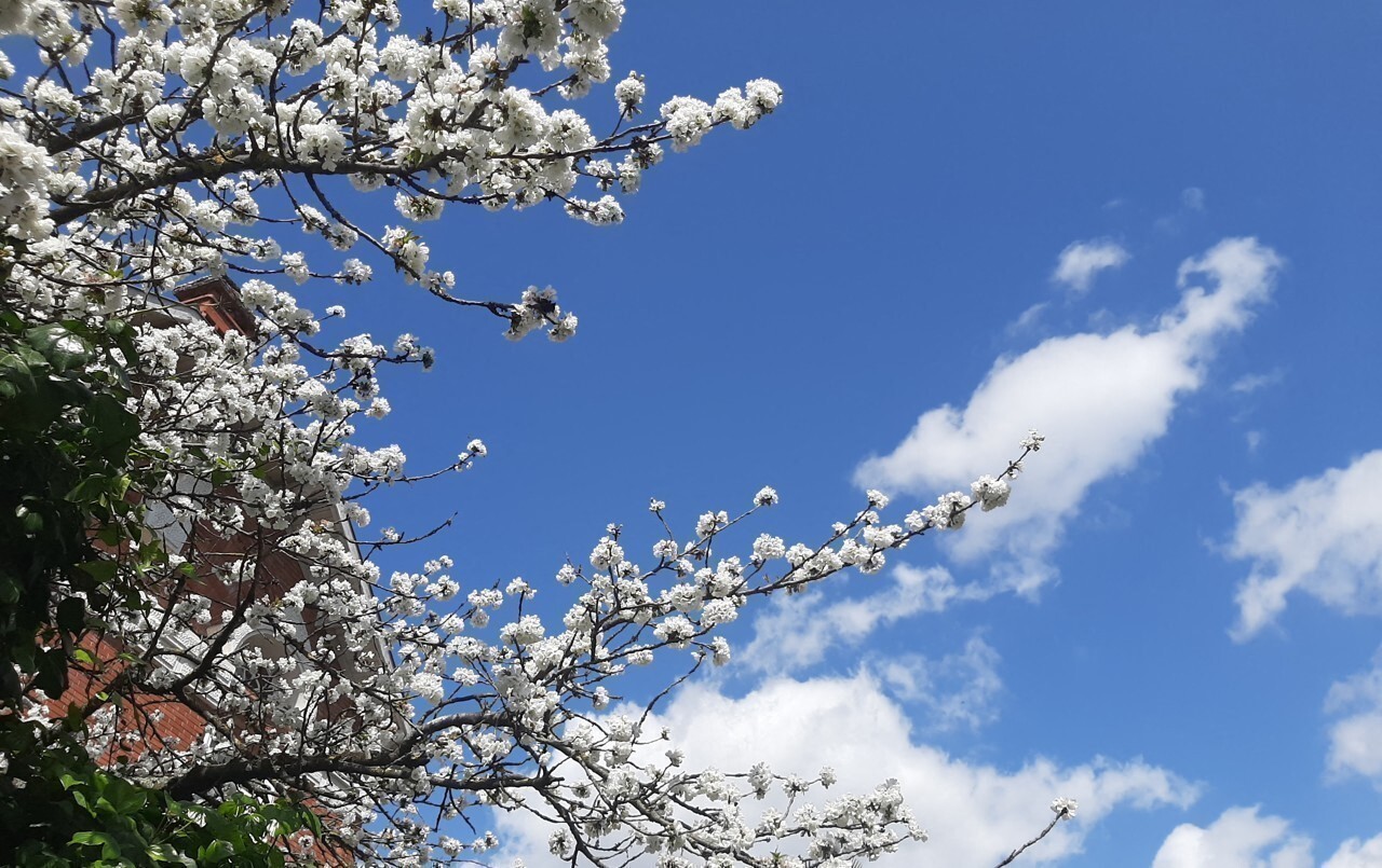 Fini, le temps maussade ? La météo de ce vendredi, à Toulouse et en Occitanie