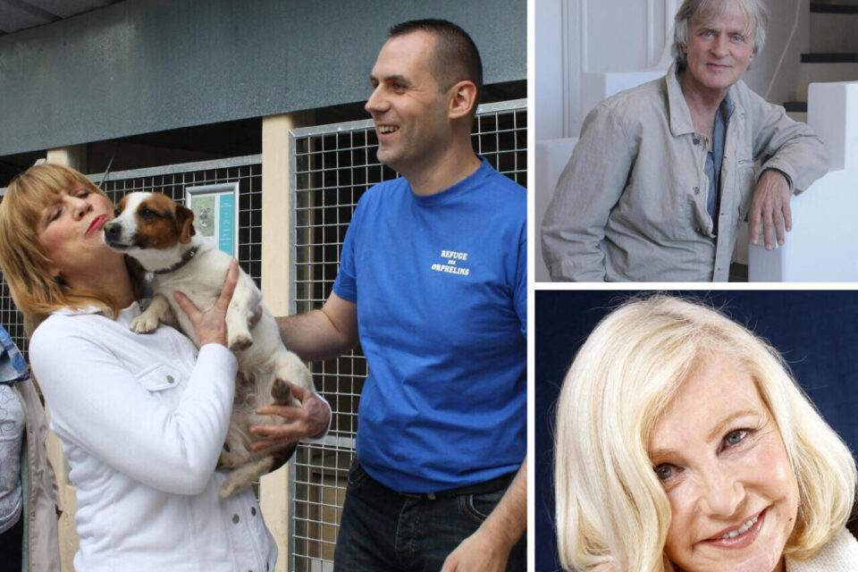 Pas de légende enregistrée Le 5 avril, des vedettes mobilisées pour défendre la cause animale En mai 2017, Stone participait à l'inauguration du refuge aux côtés de Stéphane Lamart. Dave et Michèle Torr seront présents le 5 avril. - 1521806780503