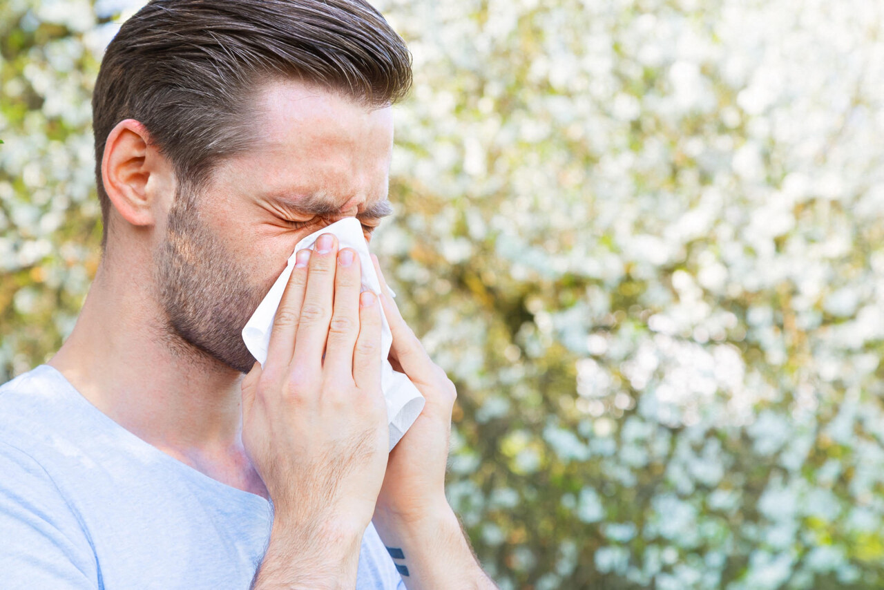 si vous êtes allergiques, faites attention à ces plantes