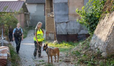 on connaît les motivations du suspect