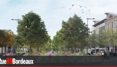 L’allée Serr "qui ne sert à rien" devient un espace vert plus ambitieux