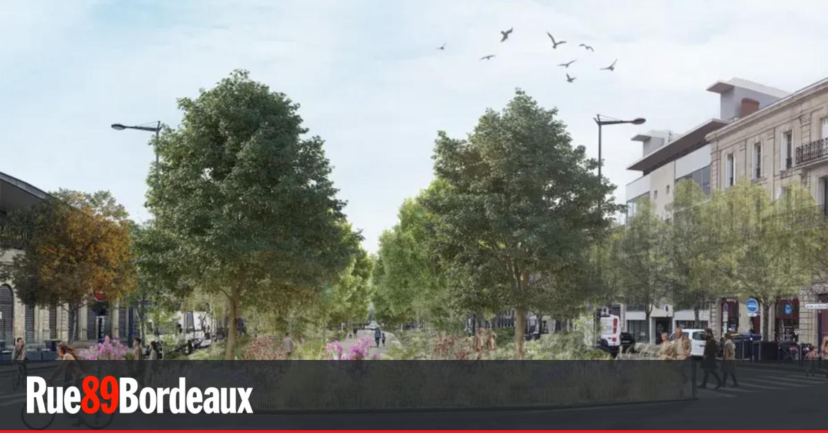 L’allée Serr "qui ne sert à rien" devient un espace vert plus ambitieux