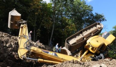 Appel à défendre Sundi + Hambi (forêt de Hambach et Sundi proche), automne 2025 – 🔴 Info Libertaire