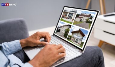 Immobilier : à Lille, les petites surfaces s'arrachent avant la rentrée