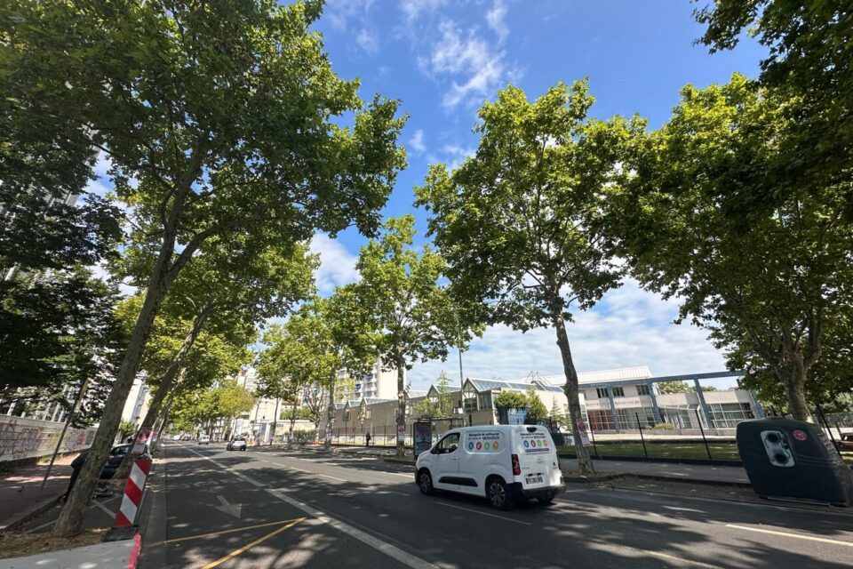 Il sera interdit de stationner durant plusieurs jours dans le secteur dans lequel les arbres doivent être coupés.