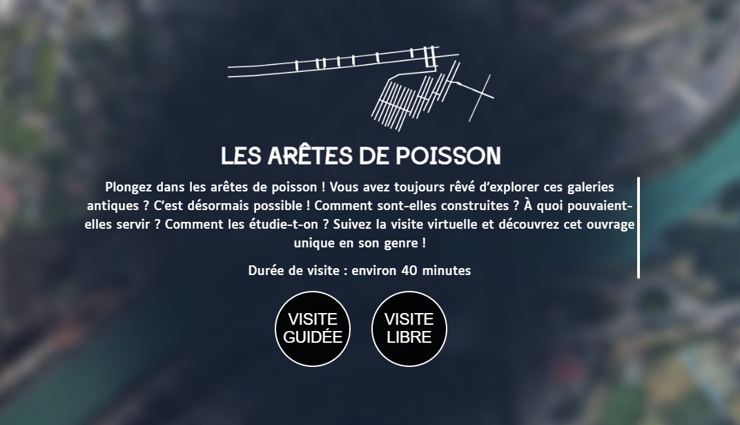 aretes-poisson-lyon