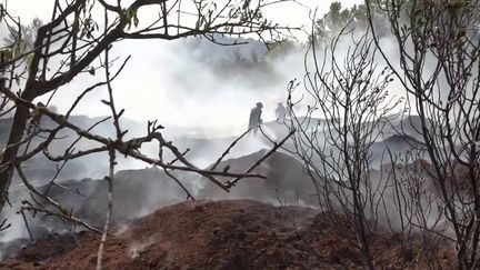 Incendie dans l'Aude : le feu fixé après 48 heures de lutte acharnée