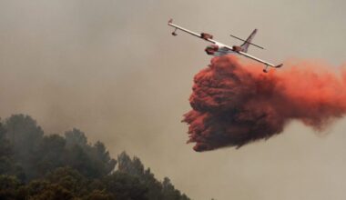 Et si la solution française aux incendies de forêt venait de Bordeaux ?