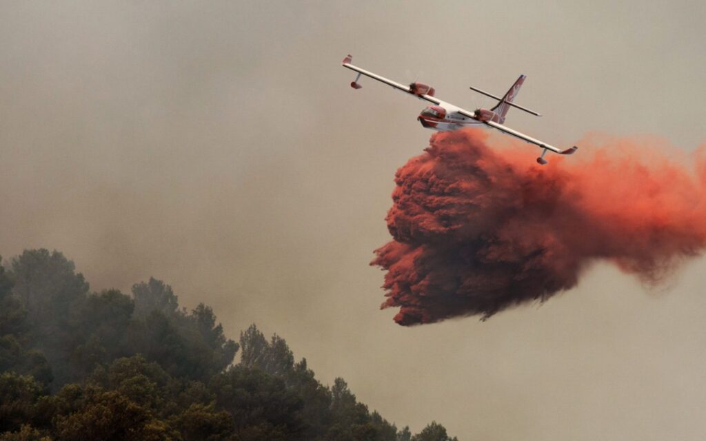 Et si la solution française aux incendies de forêt venait de Bordeaux ?