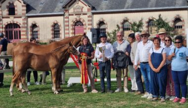 Paris Chanel de l’Aumone, poney champion de l’Ouest au Normandie Horse Show