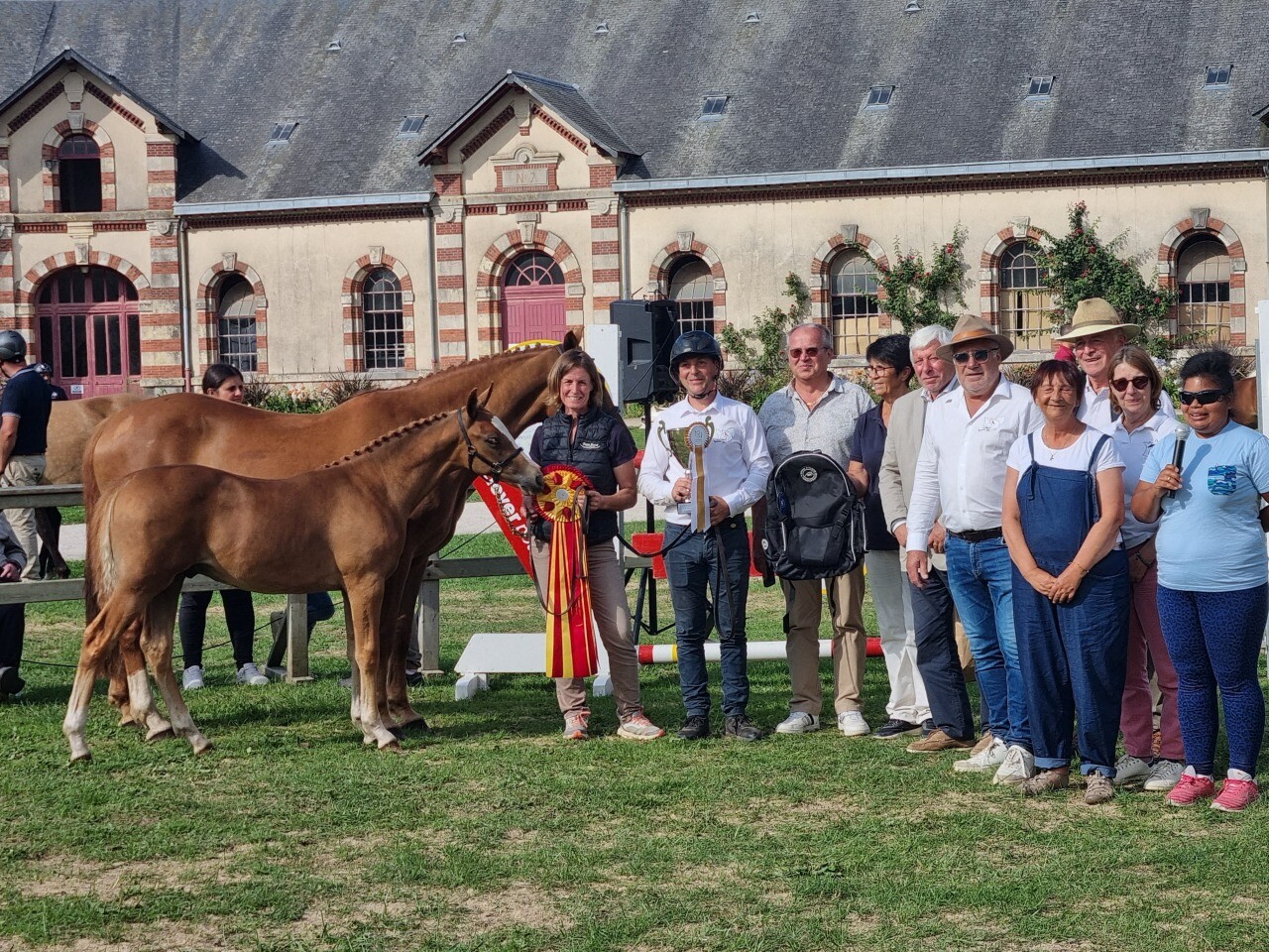 Paris Chanel de l’Aumone, poney champion de l’Ouest au Normandie Horse Show