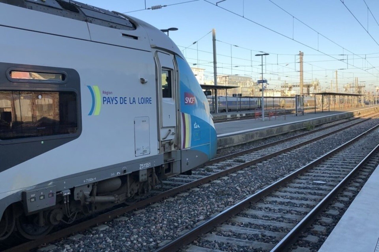 un homme est mort après avoir été percuté par un train, le trafic perturbé