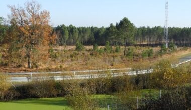 Les espaces naturels qui laisseront bientôt place à un parc d