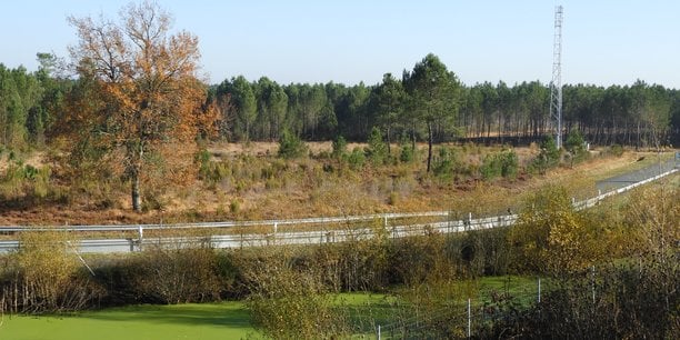 Les espaces naturels qui laisseront bientôt place à un parc d