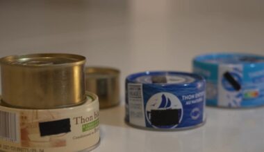 Risque de contamination au mercure, fini le thon dans les cantines scolaires de plusieurs villes