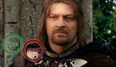Tu sauves Boromir si t'as 10/10 à ce quiz vrai ou faux sur Le Seigneur des Anneaux %