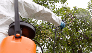 Pesticides : l'UE relève le niveau maximal autorisé dans certains aliments