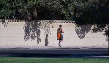 la chaleur revient en France, à quoi faut-il s’attendre ?
