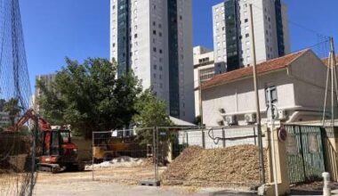 un terrain plus favorable aux jeunes pousses