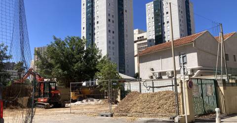 un terrain plus favorable aux jeunes pousses