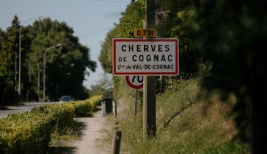 Chikungunya en Charente : trois nouveaux cas confirmés