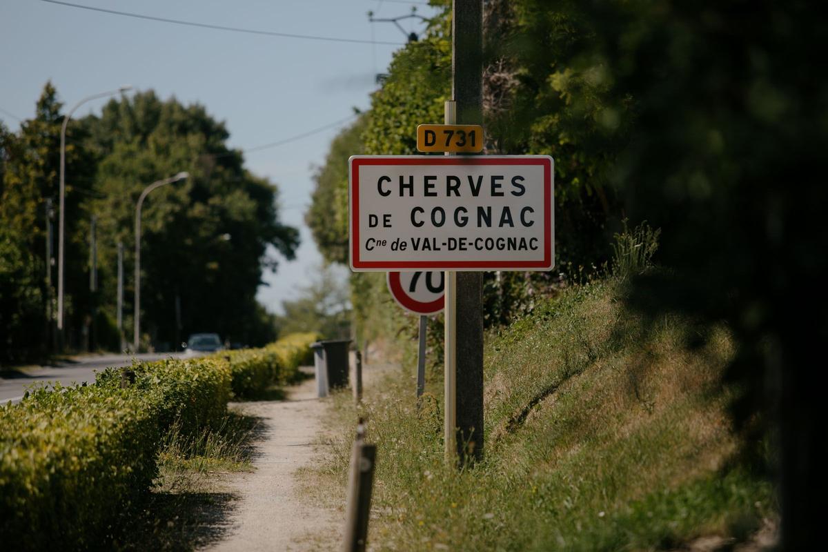 Chikungunya en Charente : trois nouveaux cas confirmés