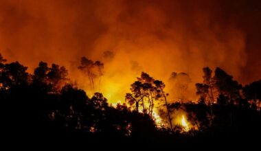 plus d’un million d’hectares brûlés dans l’Union Eu depuis début 2025