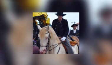 un festival traditionnel équestre inédit organisé près de Bordeaux