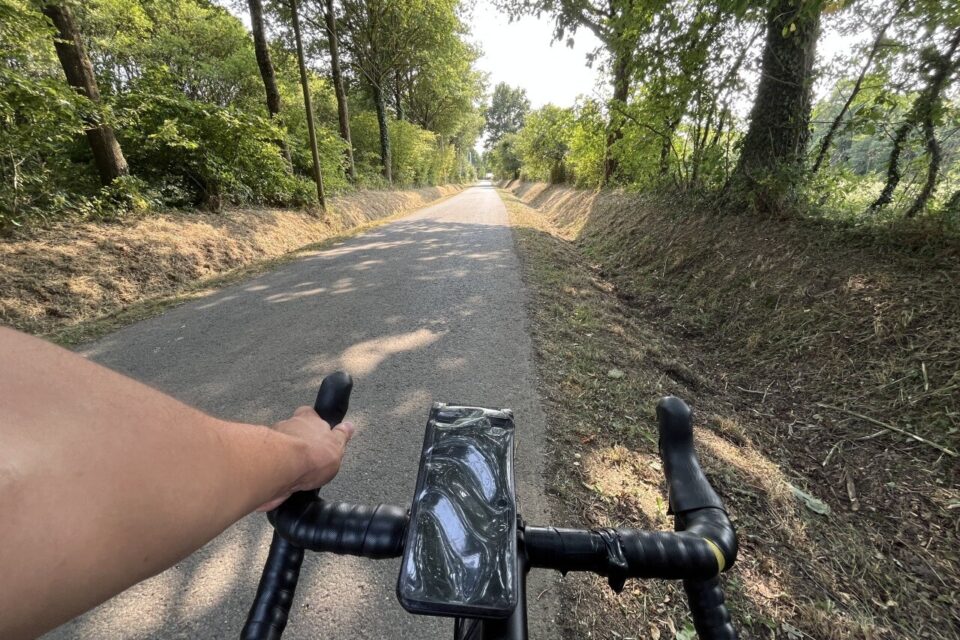 En pleine canicule, l'ombre des arbres n'est pas de refus.