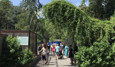 Stands pédagogiques, nourrissages commentés… Des animations quotidiennes au zoo de Lille pendant l’été