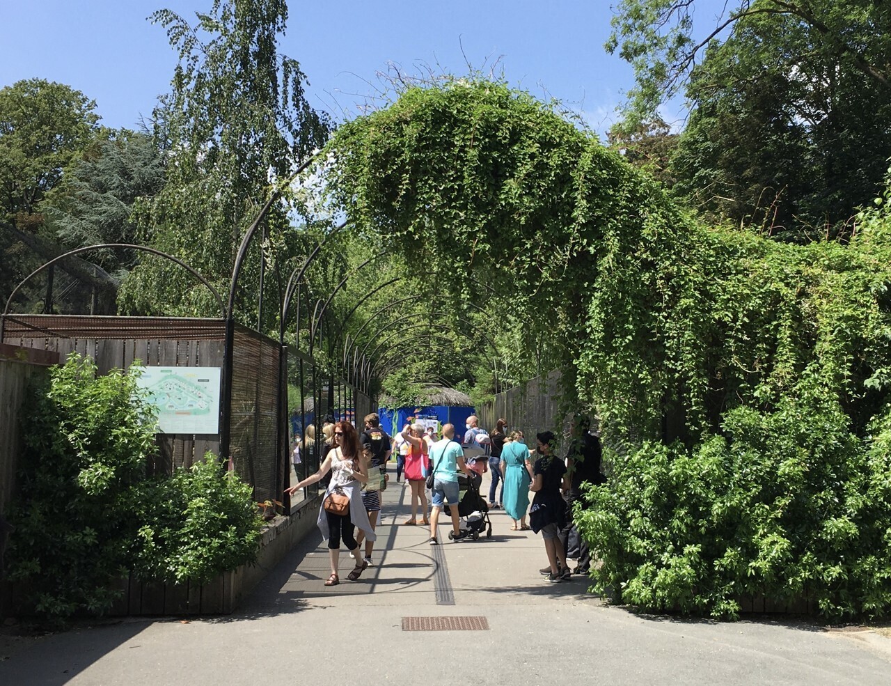Stands pédagogiques, nourrissages commentés… Des animations quotidiennes au zoo de Lille pendant l’été
