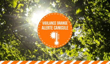 Canicule : vigilance orange / Actualités