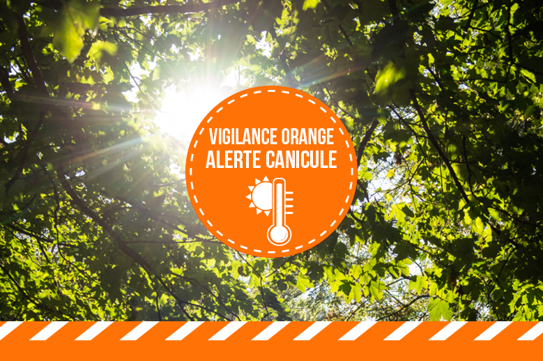 Canicule : vigilance orange / Actualités