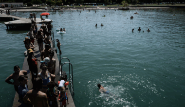 Chien mort, baignade interdite... Une bactérie empoisonne la vie de ce lac à 1h30 de Lyon
