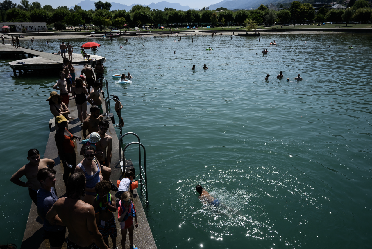 Chien mort, baignade interdite... Une bactérie empoisonne la vie de ce lac à 1h30 de Lyon