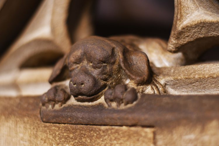 Cathédrale (27) chien geiler