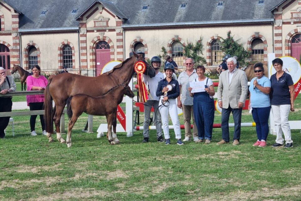 La championne des femelles : Primerose'K (PFS par Very Star Kerveyer et Energy de Batz par Paolik Kersidal) appartenant à Lamia Derouin (Mayenne).