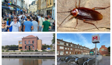 Métro, cafards, Braderie... Voici les infos marquantes de la semaine à Lille