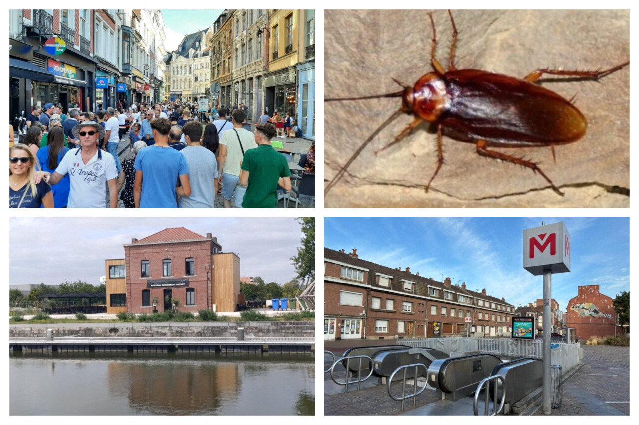 Métro, cafards, Braderie... Voici les infos marquantes de la semaine à Lille
