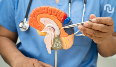 La promesse inattendue du lithium caché dans le cerveau pour guérir de la maladie d'Alzheimer